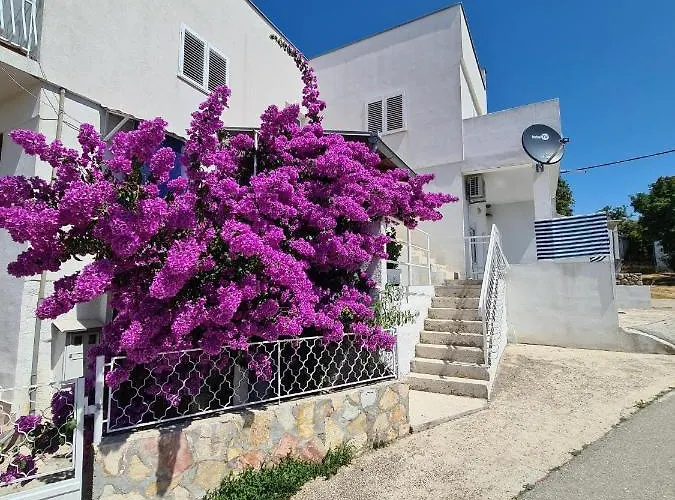 Maslenica-Bougainvillea