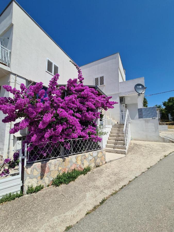 Maslenica-bougainvillea Apartment *