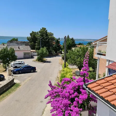 Maslenica-Bougainvillea Exterior photo