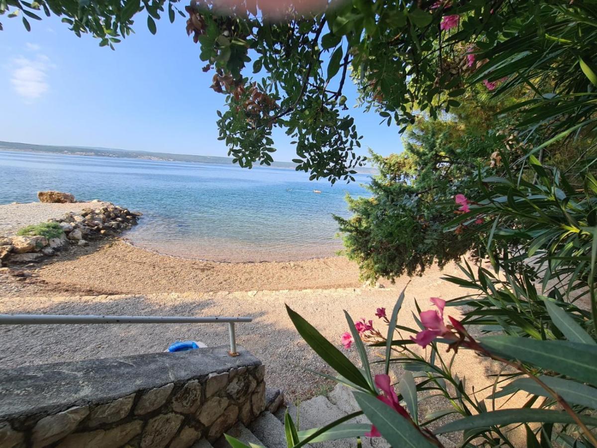Maslenica-bougainvillea Appartement Maslenica